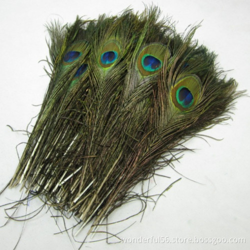 decorative craft feathers